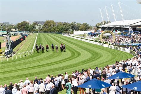 rosehill trials replays|Rosehill Gardens: Australian Turf ClubMonday 18, December 2023.